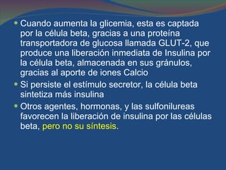 Cuando aumenta la glicemia, esta es captada por la célula beta, gracias a una proteína transportadora de glucosa llamada GLUT-2, que produce una liberación inmediata de Insulina por la célula beta, almacenada en sus gránulos, gracias al aporte de iones Calcio Si persiste el estímulo secretor, la célula beta sintetiza más insulina  Otros agentes, hormonas, y las sulfonilureas favorecen la liberación de insulina por las células beta,  pero no su síntesis . 