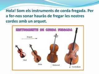 Hola! Som els instruments de corda fregada. Per 
a fer-nos sonar hauràs de fregar les nostres 
cordes amb un arquet. 
 