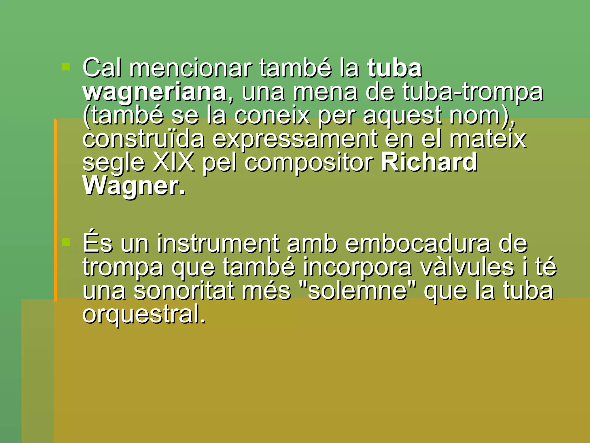 Cal mencionar també la  tuba wagneriana , una mena de tuba-trompa (també se la coneix per aquest nom), construïda expressament en el mateix segle XIX pel compositor  Richard Wagner. És un instrument amb embocadura de trompa que també incorpora vàlvules i té una sonoritat més "solemne" que la tuba orquestral. 