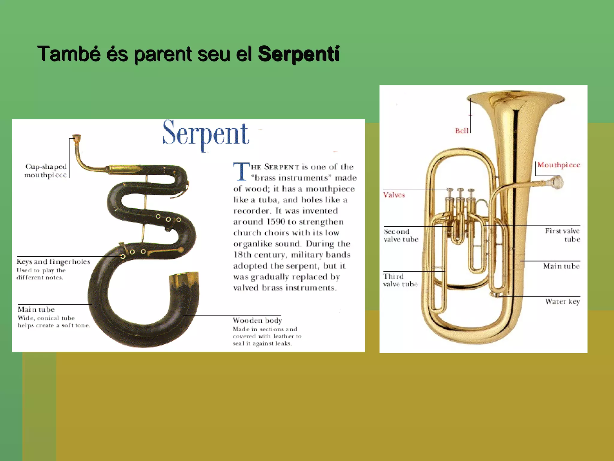 També és parent seu el  Serpentí  