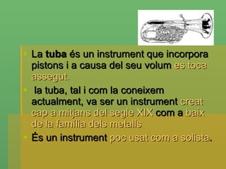 La  tuba  és un instrument que incorpora pistons i a causa del seu volum  es toca assegut. la tuba, tal i com la coneixem actualment, va ser un instrument  creat cap a mitjans del segle XIX  com a  baix de la família dels metalls   És un instrument  poc usat com a solista . 