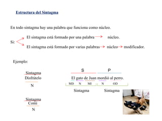 Estructura del Sintagma En todo sintagma hay una palabra que funciona como núcleo. El sintagma está formado por una palabra núcleo. Si: El sintagma está formado por varias palabras núcleo modificador. Ejemplo: Disfrútelo Sintagma N Comí Sintagma N El gato de Juan mordió al perro. S P MD N MI N OD Sintagma Sintagma