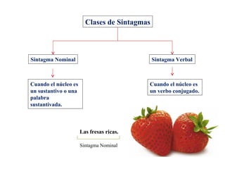 Clases de Sintagmas Sintagma Nominal Cuando el núcleo es un sustantivo o una palabra sustantivada. Sintagma Verbal Cuando el núcleo es un verbo conjugado. Las fresas ricas. Sintagma Nominal