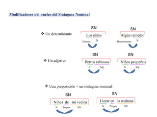Modificadores del núcleo del Sintagma Nominal Un determinante Los niños SN Determ. N Algún remedio SN Determinante N Un adjetivo Niños de mi vecina SN N Prepos. Niños pequeños SN N Adj. Una preposición + un sintagma nominal SN Llorar en la mañana SN N Prepos. SN Perros rabiosos SN N Adj.