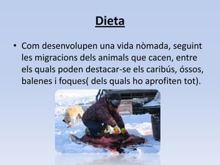 DietaCom desenvolupen una vida nòmada, seguint les migracions dels animals que cacen, entre els quals poden destacar-se els caribús, óssos, balenes i foques( dels quals ho aprofiten tot).