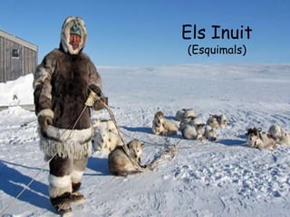 Els Inuit
(Esquimals)
 