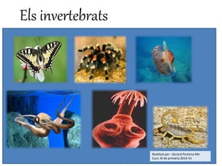 Els invertebrats
Realitzat per : Gerard Porteros Mir
Curs: 4t de primària 2014-15
 
