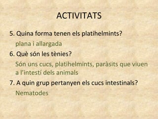 ACTIVITATS 5. Quina forma tenen els platihelmints? plana i allargada 6. Què són les tènies? Són uns cucs, platihelmints, paràsits que viuen a l’intestí dels animals 7. A quin grup pertanyen els cucs intestinals? Nematodes 