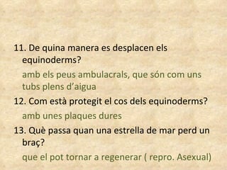 11. De quina manera es desplacen els equinoderms? amb els peus ambulacrals, que són com uns tubs plens d’aigua  12. Com està protegit el cos dels equinoderms? amb unes plaques dures  13. Què passa quan una estrella de mar perd un braç? que el pot tornar a regenerar ( repro. Asexual) 