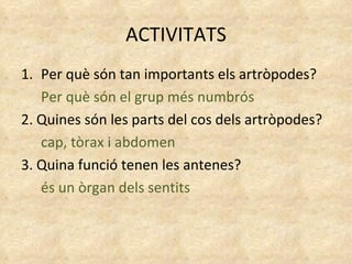 ACTIVITATS Per què són tan importants els artròpodes? Per què són el grup més numbrós 2. Quines són les parts del cos dels artròpodes? cap, tòrax i abdomen 3. Quina funció tenen les antenes? és un òrgan dels sentits 