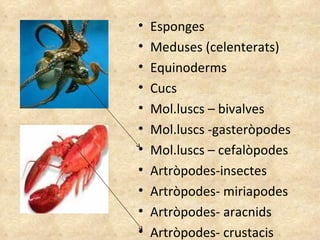 Esponges Meduses (celenterats) Equinoderms Cucs Mol.luscs – bivalves Mol.luscs -gasteròpodes Mol.luscs – cefalòpodes Artròpodes-insectes Artròpodes- miriapodes Artròpodes- aracnids Artròpodes- crustacis 