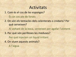 Activitats 1. Com és el cos de les esponges? És un cos ple de forats  2. On són els tentacles dels celenterats o cnidaris? Per què serveixen? Al voltant de la boca, serveixen per agafar l’aliment 3. Per què són perilloses les meduses? Per què injecten un líquid irritant 4. On viuen aquests animals? A l’aigua 