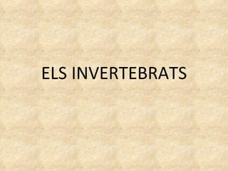 ELS INVERTEBRATS 