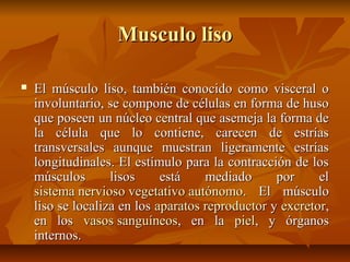 Musculo lisoMusculo liso
 El músculo liso, también conocido como visceral oEl músculo liso, también conocido como visceral o
involuntario, se compone de células en forma de husoinvoluntario, se compone de células en forma de huso
que poseen un núcleo central que asemeja la forma deque poseen un núcleo central que asemeja la forma de
la célula que lo contiene, carecen de estríasla célula que lo contiene, carecen de estrías
transversales aunque muestran ligeramente estríastransversales aunque muestran ligeramente estrías
longitudinales. El estímulo para la contracción de loslongitudinales. El estímulo para la contracción de los
músculos lisos está mediado por elmúsculos lisos está mediado por el
sistema nervioso vegetativo autónomosistema nervioso vegetativo autónomo. El músculo. El músculo
liso se localiza en losliso se localiza en los aparatos reproductoraparatos reproductor yy excretorexcretor,,
en losen los vasos sanguíneosvasos sanguíneos, en la, en la pielpiel, y órganos, y órganos
internos.internos.
 