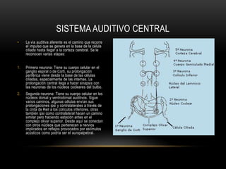 SISTEMA AUDITIVO CENTRAL