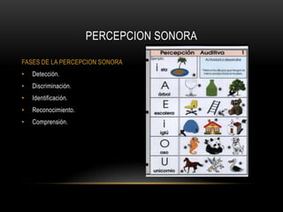 La percepción sonora es el resultado de los procesos psicológicos que tienen lugar en el sistema auditivo central y permiten interpretar los sonidos recibidos.Marshall McLuhan en su teoría de la percepción afirma que la imagen sonora necesita ser fortalecida por otros sentidos. No porque la imagen sonora sea débil, sino porque la percepción humana tiene gran dependencia de la percepción visual y el sentido del oído necesita que la vista confirme lo que ha percibido.PERCEPCION SONORA