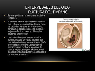 Comprendre. (Comprender). Se trata de una audición semántica. El sonido se transforma en un signo lingüístico que hay que leer. Implica la intención de descubrir un significado o unos valores.PERCEPCION SONORA – MODOS DE AUDICION DE SCHAFFER
