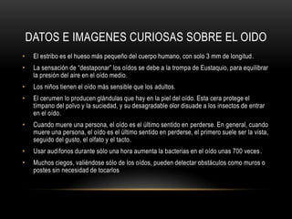 Es una inflamación (irritación e hinchazón con presencia de células inmunes adicionales) y/o infección en las estructuras del oído medio. La otitis media aguda hace referencia a un episodio corto y severo. (La infección persistente o recurrente del oído medio se denomina otitis media crónica.)La otitis media aguda (infección aguda del oído medio) es más común en los niños y se presenta cuando hay una infección bacteriana o viral del líquido del oído medio que genera la producción de pus o exceso de líquido y es una condición que puede estar acompañada de sangrado en el oído medio.ENFErMEDADESDEL OIDOOtitis agudasupurativaición