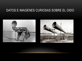 Datos e imagenescuriosassobre el oidoEl estribo es el hueso más pequeño del cuerpo humano, con solo 3 mm de longitud.La sensación de “destaponar” los oídos se debe a la trompa de Eustaquio, para equilibrar la presión del aire en el oído medio.Los niños tienen el oído más sensible que los adultos.El cerumen lo producen glándulas que hay en la piel del oído. Esta cera protege el tímpano del polvo y la suciedad, y su desagradable olor disuade a los insectos de entrar en el oído.Cuando muere una persona, el oído es el último sentido en perderse. En general, cuando muere una persona, el oído es el último sentido en perderse, el primero suele ser la vista, seguido del gusto, el olfato y el tacto.Usar audífonos durante sólo una hora aumenta la bacterias en el oído unas 700 veces.Muchos ciegos, valiéndose sólo de los oídos, pueden detectar obstáculos como muros o postes sin necesidad de tocarlos