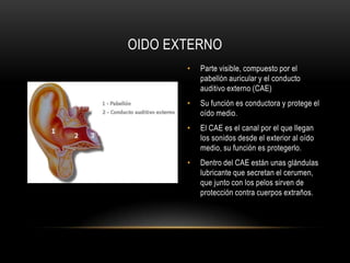 SistemaauditivoperiféricoEl Sistema auditivo periférico es el responsable de los procesos fisiológicos de la audición. Estos procesos que permiten captar el sonido y transformarlo en impulsos eléctricos suceptibles de ser enviados al cerebro a través de los nervios auditivos.El sistema auditivo periférico lo constituye el oído el cual se divide en tres partes:El oído externo, que canaliza la energía acústica.El oído medio, que transforma la energía acústica en energía mecánica, transmitiéndola - y amplificándola- hasta el oído interno.El oído interno, donde se realiza la definitiva transformación de la energía mecánica en impulsos eléctricos.