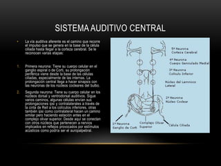 SISTEMA AUDITIVO CENTRAL,[object Object]