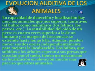 En capacidad de detección y localización hay
muchos animales que nos superan, tanto aves
(el búho) como mamíferos (los felinos, los
perros, etc.). La sensibilidad del oído de un
perro es cuatro veces superior a la de un
humano y su margen de frecuencias se
extiende hasta los 40 kHz. Además, pueden
mover sus dos orejas independientemente
para mejorar la localización. Los búhos, que
subidos a los árboles esperan a sus presas que
circulan por el suelo, tienen un mecanismo
de localización en elevación mucho más
preciso que otros animales.
 