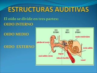 El oído se divide en tres partes:
OIDO INTERNO
OIDO MEDIO
OIDO EXTERNO
 
