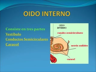 Consiste en tres partes
Vestíbulo
Conductos Semicirculares
Caracol
 