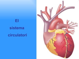 El  sistema  circulatori 
