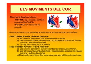 ELS MOVIMENTS DEL COR
Els moviments del cor són dos:
• SÍSTOLE: De contracció del teixit
muscular (MIOCARDI).
• DIÀSTOLE: De relaxació del
miocardi.
Aquests moviments no es produeixen al mateix temps, sinó que es donen en dues fases.
FASE 1: Sístole Auricular – Diàstole Ventricular
a) Els ventricles s’omplen de sang procedent de les aurícules.
b) Les vàlvules auriculoventriculars (mitral i tricúspide) estan obertes i les vàlvules
pulmonar i aòrtica estan tancades.
c) La sang passa de l’aurícula al ventricle.
FASE 2: Diàstole Auricular – Sístole Ventricular
a) Les aurícules s’omplen de sang procedent de les venes cava i pulmonars.
b) Les vàlvules auriculoventriculars (mitral i tricúspide) estan tancades i les vàlvules
pulmonar i aòrtica estan obertes.
c) Els ventricles es contreuen fent que la sang passi a les artèries pulmonars i aorta.
 