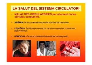 • ANÈMIA: Hi ha una disminució del nombre de hematies.
• LEUCÈMIA: Proliferació anormal de cèl·lules sanguínies, normalment
glòbuls blancs.
• HEMOFÍLIA: Carència o defecte d'algun factor de coagulació.
LA SALUT DEL SISTEMA CIRCULATORI
• MALALTIES CIRCULATÒRIES per alteració de les
cèl·lules sanguínies.
 