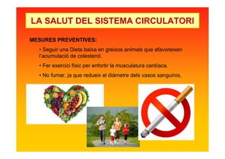 LA SALUT DEL SISTEMA CIRCULATORI
MESURES PREVENTIVES:
• Seguir una Dieta baixa en greixos animals que afavoreixen
l’acumulació de colesterol.
• Fer exercici físic per enfortir la musculatura cardíaca.
• No fumar, ja que redueix el diàmetre dels vasos sanguínis,
 