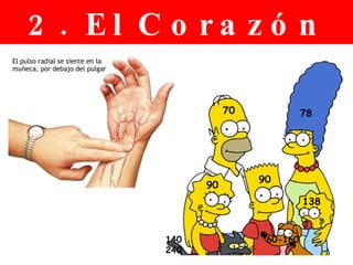 2. El Corazón 78 70 90 90 138 60-160 140 240 