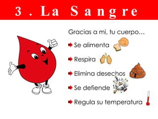 Gracias a mi, tu cuerpo… Se alimenta Respira Elimina desechos Se defiende Regula su temperatura 3. La Sangre 
