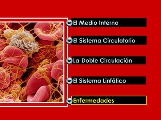 El Sistema Circulatorio La Doble Circulación El Sistema Linfático Enfermedades El Medio Interno Enfermedades 