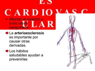 ENFERMEDADES CARDIOVASCULARES Afectan al corazón y a los vasos sanguíneos. La  arterioesclerosis  es importante por causar otras derivadas. Los hábitos saludables ayudan a prevenirlas 