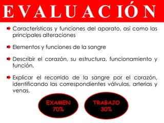 EVALUACIÓN Características y funciones del aparato, así como las principales alteraciones Elementos y funciones de la sangre Describir el corazón, su estructura, funcionamiento y función. Explicar el recorrido de la sangre por el corazón, identificando las correspondientes válvulas, arterias y venas. EXAMEN 70% TRABAJO 30% 