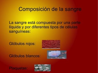 La sangre La sangre es un tejido líquido que recorre el organismo a través de los vasos sanguíneos,transportando células y todos los elementos necesarios para realizar sus funciones vitales. 