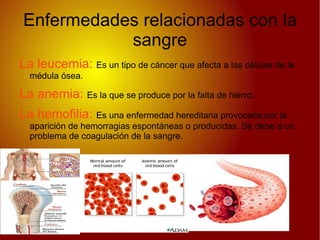 Distribuye el calor corporal 
