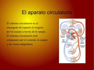 El aparato circulatorio El sistema circulatorio es el  encargado de repartir el oxigeno  por el cuerpo a  través  de la sangre. El sistema circulatorio  está compuesto por el  corazón , la sangre y los vasos  sanguíneos. 