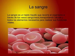 DIÁSTOLE:  Es el periodo de relajación del corazón  después  del movimiento de la sístole 