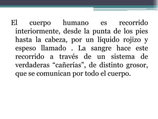 El    cuerpo    humano     es     recorrido
 interiormente, desde la punta de los pies
 hasta la cabeza, por un líquido rojizo y
 espeso llamado . La sangre hace este
 recorrido a través de un sistema de
 verdaderas “cañerías”, de distinto grosor,
 que se comunican por todo el cuerpo.
 