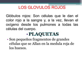 LOS GLOVULOS ROJOS

Glóbulos rojos: Son células que le dan el
color rojo a la sangre y, a la vez, llevan el
oxígeno desde los pulmones a todas las
células del cuerpo.

• Son pequeños fragmentos de grandes
  células que se Allan en la medula roja de
  los huesos.
 