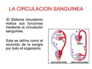 LA CIRCULACION SANGUINEA
El Sistema circulatorio
realiza sus funciones
mediante la circulación
sanguínea.
Esta se define como el
recorrido de la sangre
por todo el organismo.
 
