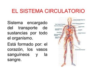 EL SISTEMA CIRCULATORIO
Sistema encargado
del transporte de
sustancias por todo
el organismo.
Está formado por: el
corazón, los vasos
sanguíneos y la
sangre.
 