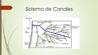 Sistema de Canales
 