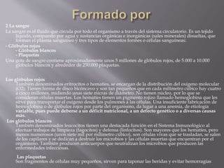 2 La sangre
La sangre es el fluido que circula por todo el organismo a través del sistema circulatorio. Es un tejido
líquido, compuesto por agua y sustancias orgánicas e inorgánicas (sales minerales) disueltas, que
forman el plasma sanguíneo y tres tipos de elementos formes o células sanguíneas:
- Glóbulos rojos
- Glóbulos blancos
- Plaquetas
Una gota de sangre contiene aproximadamente unos 5 millones de glóbulos rojos, de 5.000 a 10.000
glóbulos blancos y alrededor de 250.000 plaquetas.
Los glóbulos rojos
También denominados eritrocitos o hematíes, se encargan de la distribución del oxígeno molecular
(O2). Tienen forma de disco bicóncavo y son tan pequeños que en cada milímetro cúbico hay cuatro
a cinco millones, midiendo unas siete micras de diámetro. No tienen núcleo, por lo que se
consideran células muertas. Los hematíes tienen un pigmento rojizo llamado hemoglobina que les
sirve para transportar el oxígeno desde los pulmones a las células. Una insuficiente fabricación de
hemoglobina o de glóbulos rojos por parte del organismo, da lugar a una anemia, de etiología
variable, pues puede deberse a un déficit nutricional, a un defecto genético o a diversas causas
más.
Los glóbulos blancos
También denominados leucocitos tienen una destacada función en el Sistema Inmunológico al
efectuar trabajos de limpieza (fagocitos) y defensa (linfocitos). Son mayores que los hematíes, pero
menos numerosos (unos siete mil por milímetro cúbico), son células vivas que se trasladan, se salen
de los capilares y se dedican a destruir los microbios y las células muertas que encuentran por el
organismo. También producen anticuerpos que neutralizan los microbios que producen las
enfermedades infecciosas.
Las plaquetas
Son fragmentos de células muy pequeños, sirven para taponar las heridas y evitar hemorragias
 