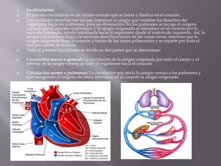  La circulación
 El proceso circulatorio es un círculo cerrado que se inicia y finaliza en el corazón.
 Las cavidades derechas son las que impulsan la sangre que contiene los desechos del
organismo hacia los pulmones, para su eliminación. En los pulmones se recoge el oxígeno
captado por el aparato respiratorio y la sangre oxigenada se introduce en el corazón por la
aurícula izquierda, siendo impulsada hacia el organismo desde el ventrículo izquierdo. Así, la
sangre con residuos llega a la aurícula derecha a través de las venas cavas, mientras que la
sangre oxigenada llega al corazón a través de las venas pulmonares y se reparte por todo el
cuerpo a partir de la aorta.
 Todo el proceso circulatorio se divide en dos partes que se denominan:
 Circulación mayor o general: La circulación de la sangre oxigenada por todo el cuerpo y el
retorno de la sangre venosa de todo el organismo hacia el corazón.
 Circulación menor o pulmonar: La circulación que envía la sangre venosa a los pulmones y
que recogiendo el oxígeno de éstos, introduce en el corazón la sangre oxigenada.
 