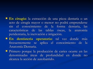    En cirugía: la extracción de una pieza dentaria o un
    acto de cirugía mayor o menor no podrá emprenderse
    sin el conocimiento de la forma dentaria, las
    características de las tablas óseas, la anatomía
    peridentaria, la inervación e irrigación.
   En dentistería operatoria: tal vez donde más
    frecuentemente se aplica el conocimiento de la
    Anatomía Dentaria.
   Primero porque la producción de caries ocurre en las
    denominadas áreas de profundidad en donde no
    alcanza la acción de autobarrido.
 
