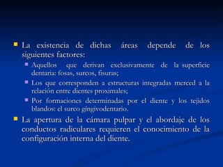    La existencia de dichas         áreas    depende     de los
    siguientes factores:
       Aquellos que derivan exclusivamente de la superficie
        dentaria: fosas, surcos, fisuras;
       Los que corresponden a estructuras integradas merced a la
        relación entre dientes proximales;
       Por formaciones determinadas por el diente y los tejidos
        blandos: el surco gíngivodentario.
   La apertura de la cámara pulpar y el abordaje de los
    conductos radiculares requieren el conocimiento de la
    configuración interna del diente.
 